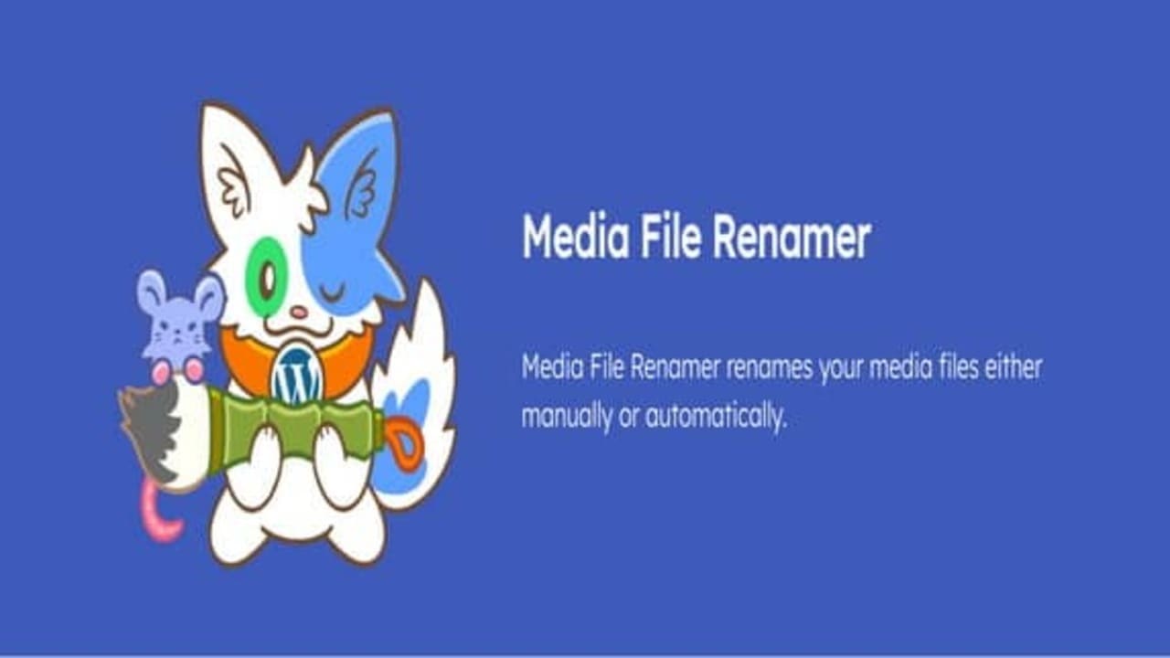 Media File Renamer Pro PlugiNS-WP